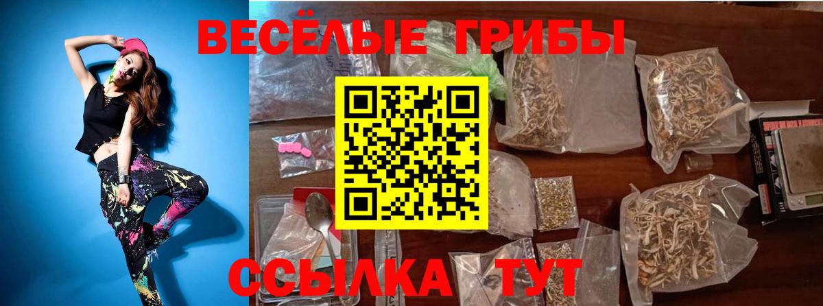 Псилоцибиновые грибы мицелий Белореченск